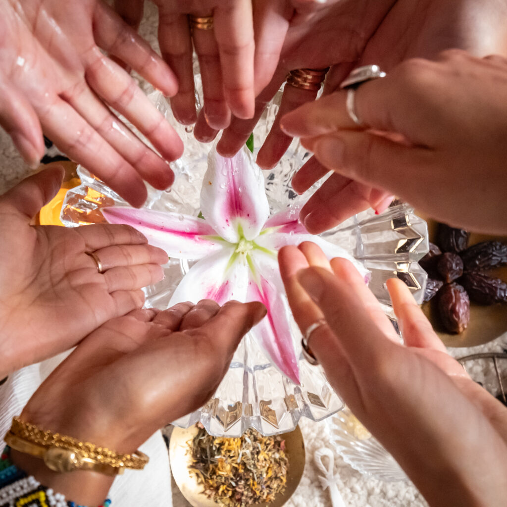 Journeying through The Spring Equinox & Beyond